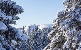 Waldtwin 2 Titisee