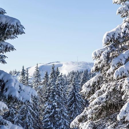 Waldtwin 2 Titisee Exterior foto