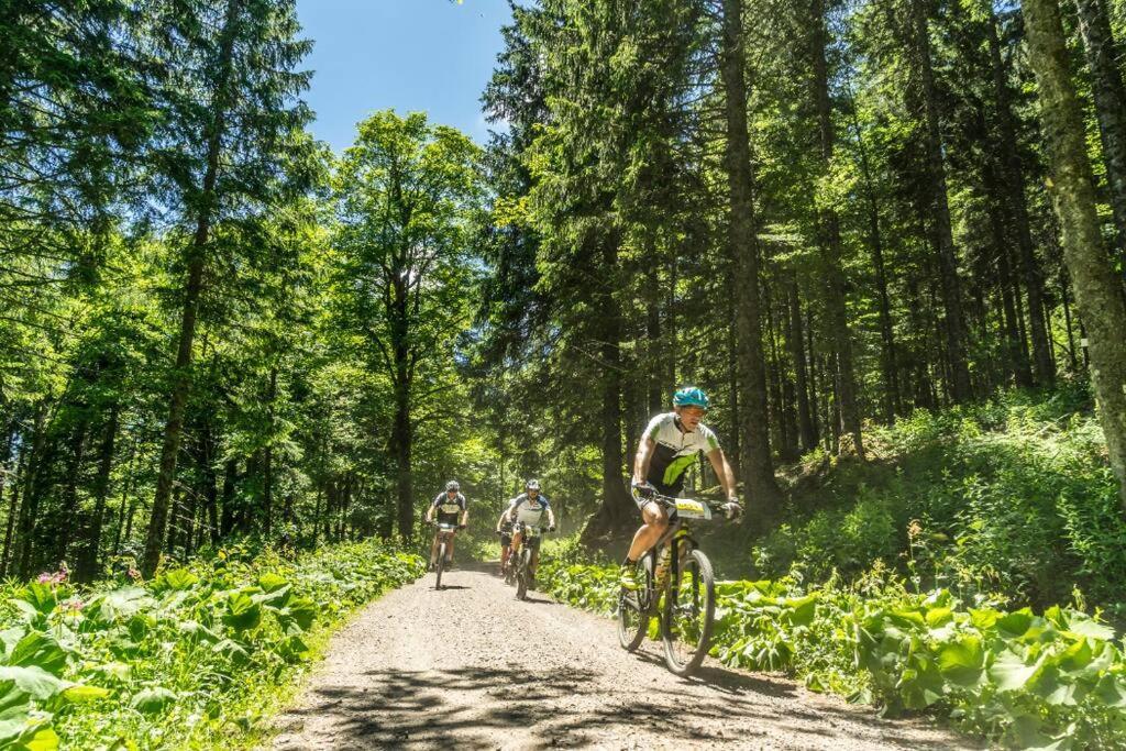 Waldtwin 2 Titisee Exterior foto